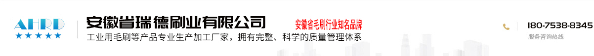 安徽省瑞德刷業有限公司